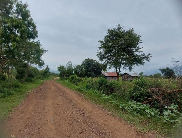 Lot-B Road 